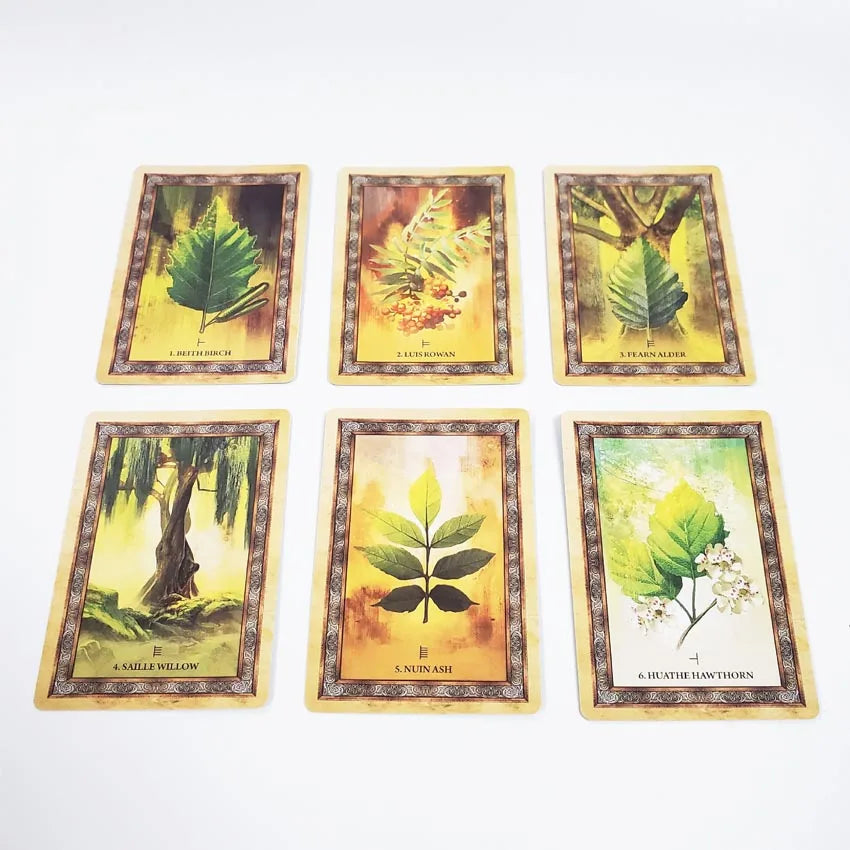 Celtic Tree Oracle Card Deck For Sale