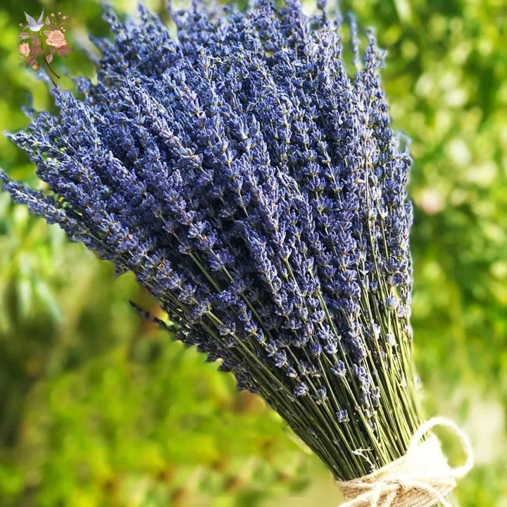 Lavender Bundles | Green Witch Creations