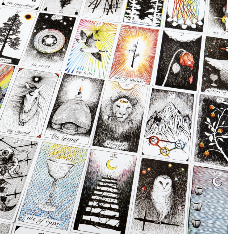 The Wild Unknown Tarot Deck For Sale Online