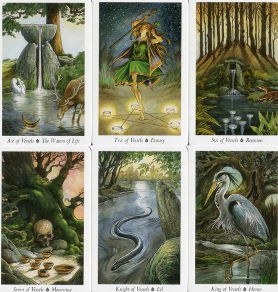 Wild Wood Tarot Card Deck