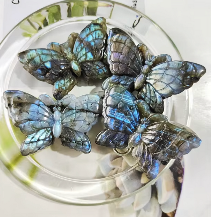 Labradorite Butterfly Crystals