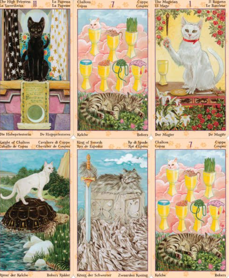 Tarot Of Pagan Cats