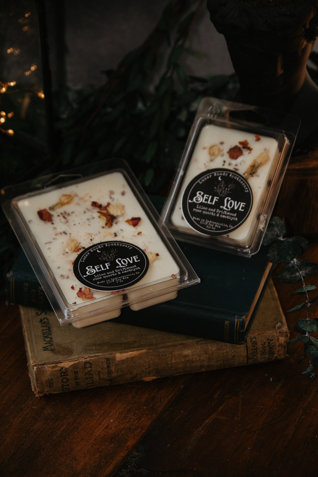 Self Love Wax Melts
