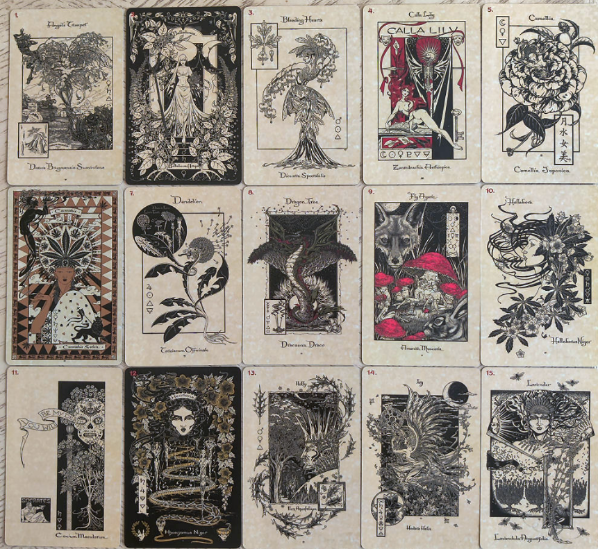 The Magickal Botanical Oracle Deck