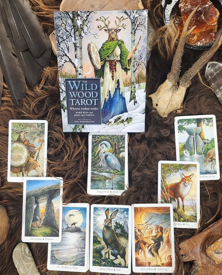 The Wild Wood Tarot