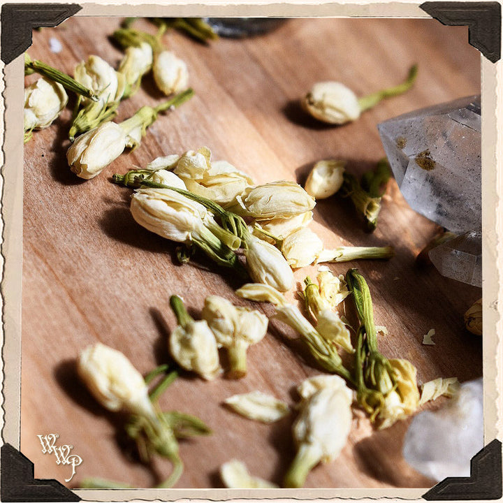 Whole Jasmine Flowers