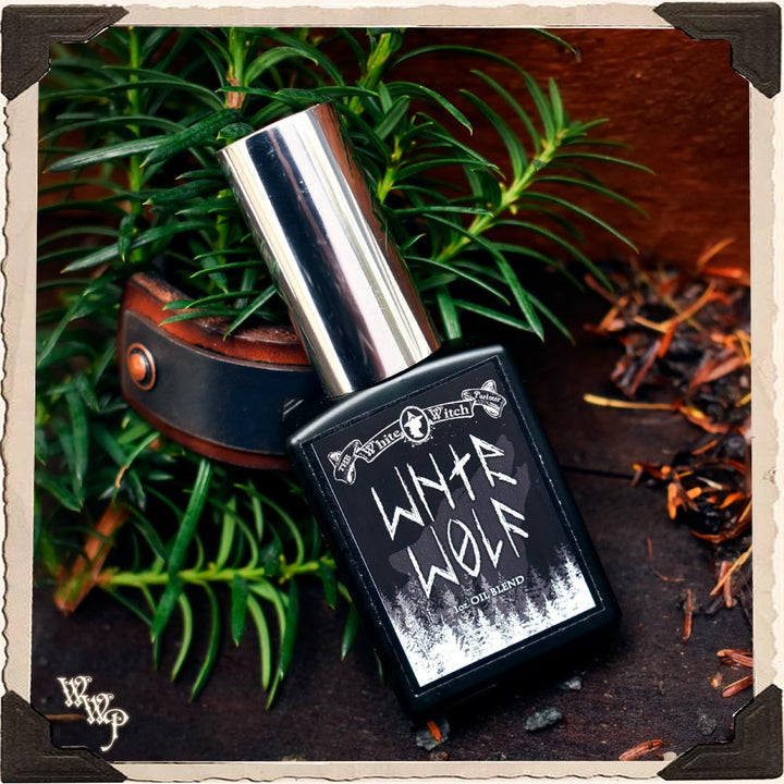 Wnter Wolf Beard Oil