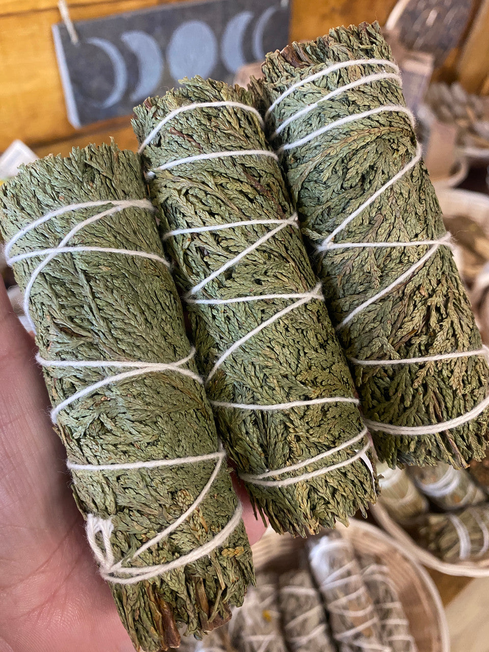 Cedar