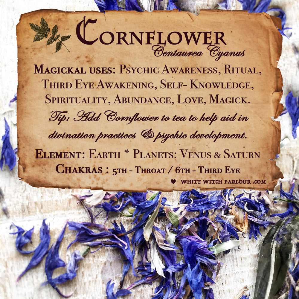 Cornflower For Witchcraft