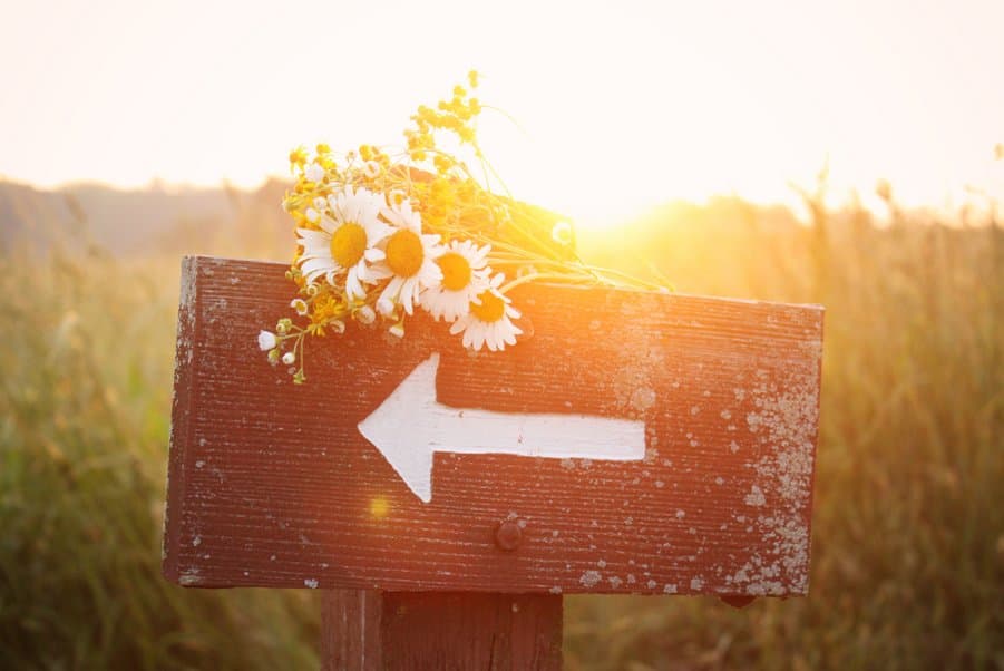 Life Direction & Life Path Psychic Readings in Sedona Arizona
