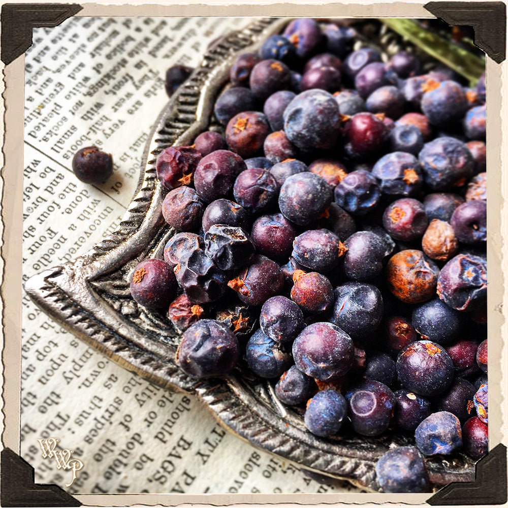 Juniper Berries