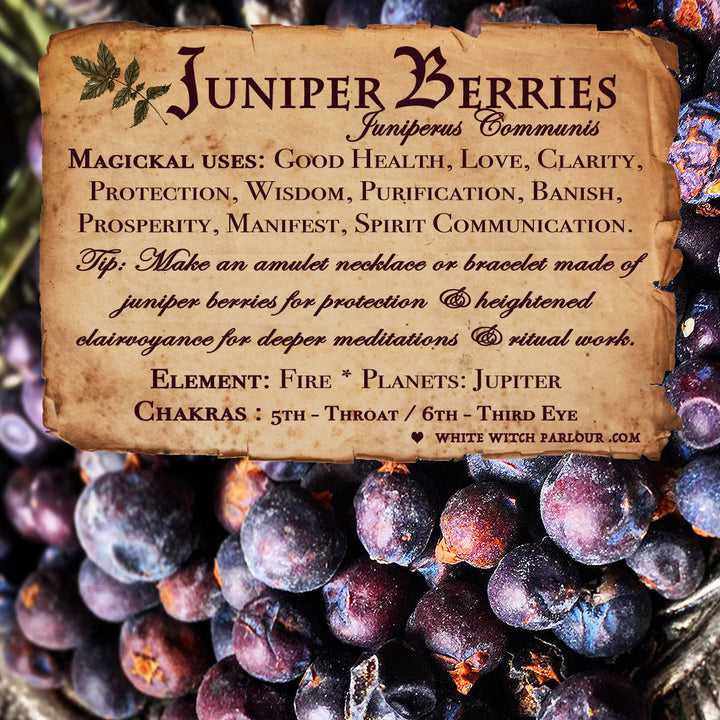 Juniper Berry