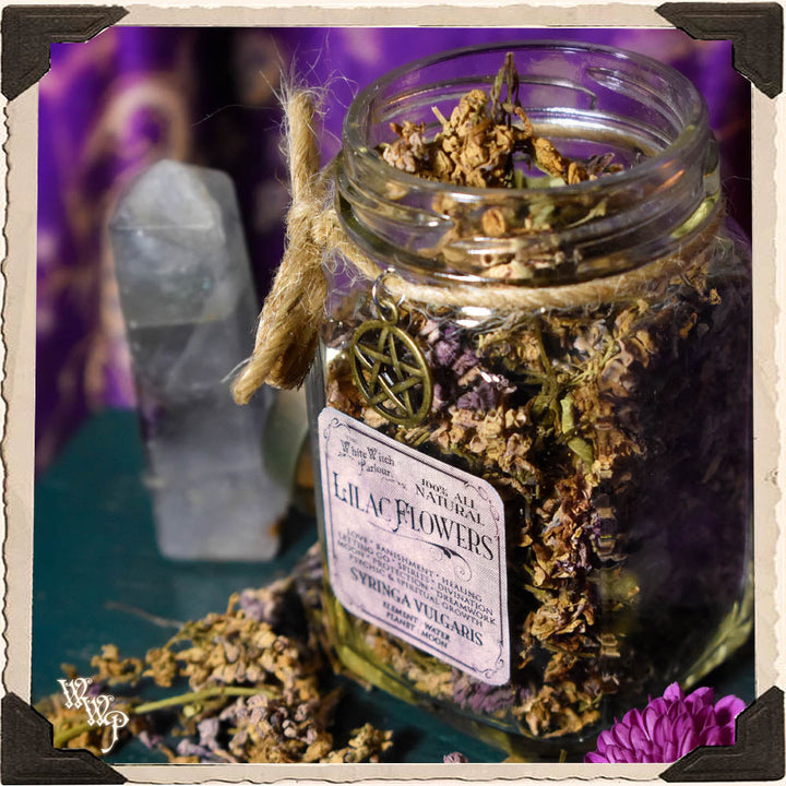 Lilac Flowers For Spells
