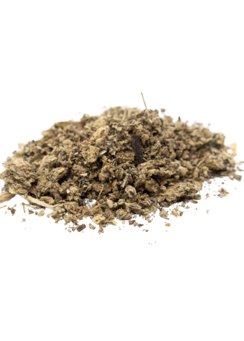 Mullein For Spells and Witchcraft