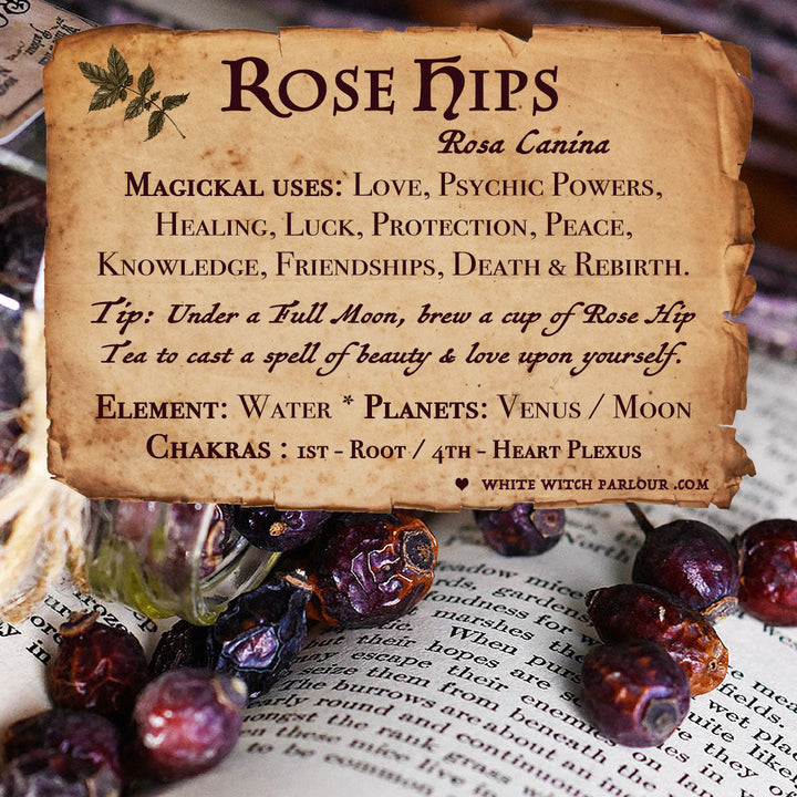 Rose Hips For Witchcraft & Spells